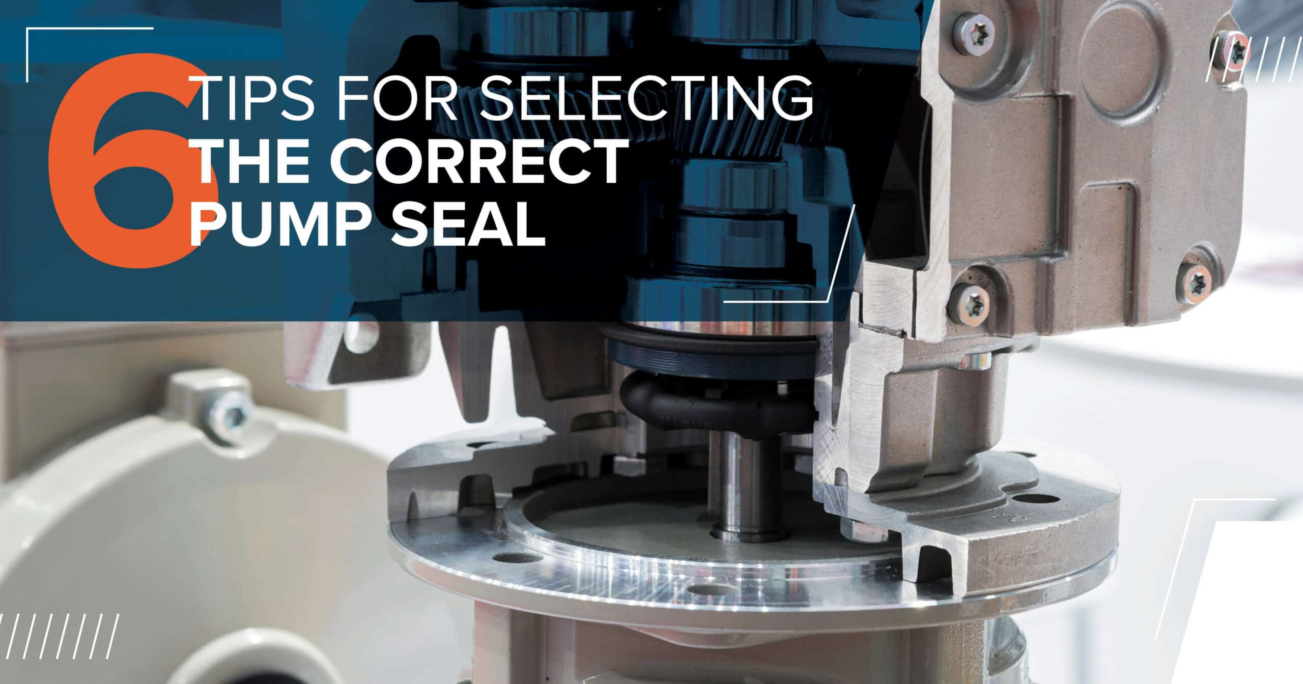 6 Tips for Selecting the Correct Pump Seal